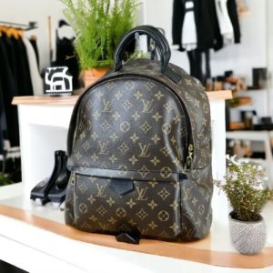 LOUIS VUITTON Palm Springs PM Backpack Medium Bag Unisex