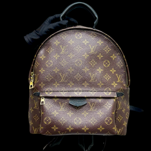 LOUIS VUITTON  Monogram Palm Springs MM Backpack Medium Bag Unisex