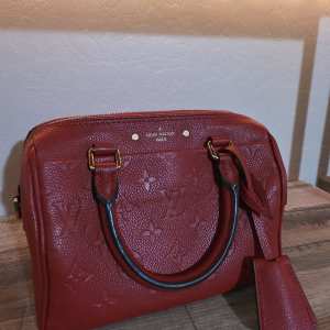 Louis Vuitton Speedy 20